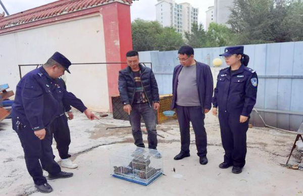 微信圖片_20240913205541_副本