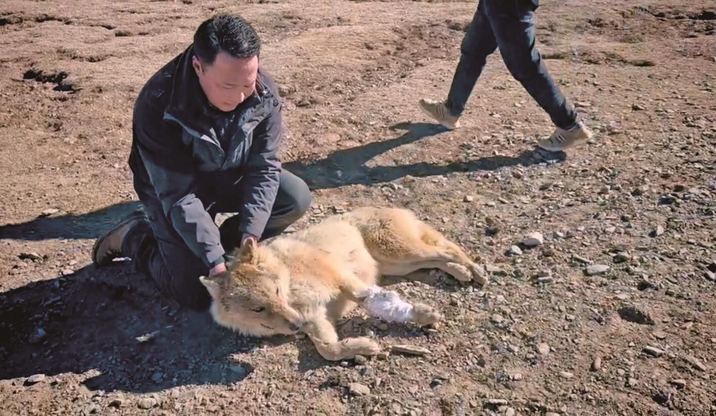 QQ圖片20250305065355