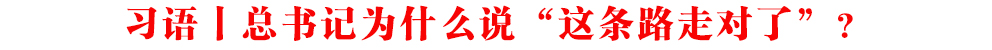 習語丨總書記為什么說“這條路走對了”？