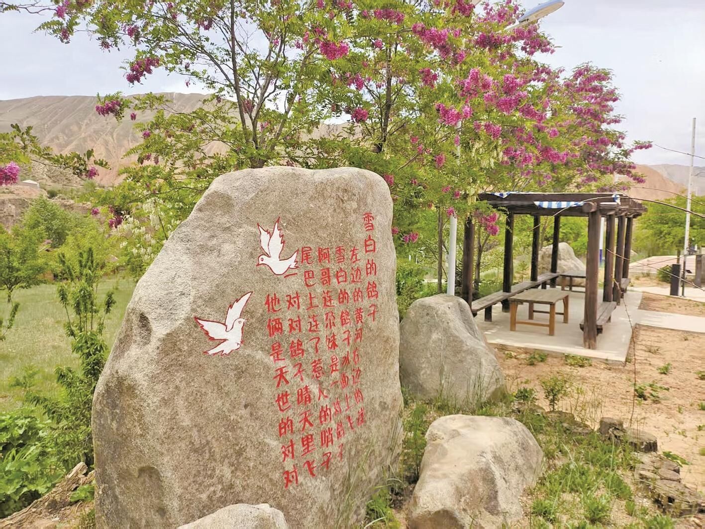 QQ圖片20250605062739