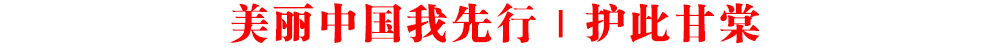 美麗中國我先行｜護此甘棠