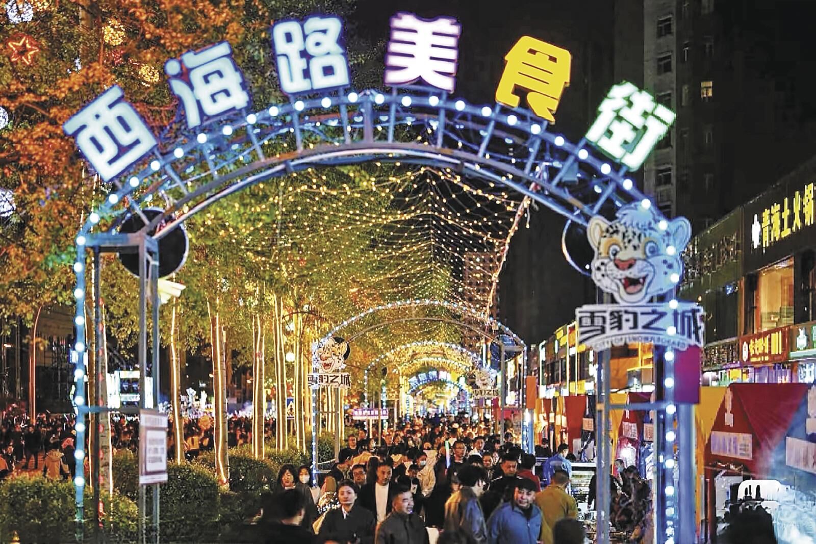 QQ圖片20250611061420