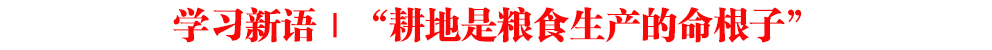 WZǼZʳaӡ