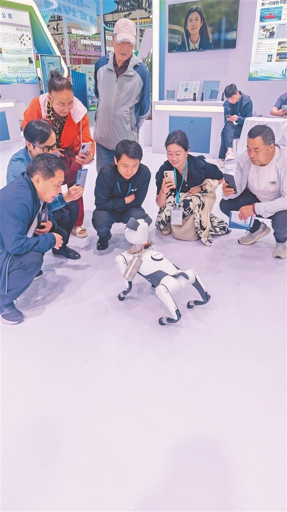 QQ圖片20250627062900