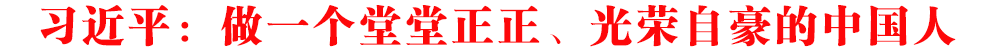 習近平：做一個堂堂正正、光榮自豪的中國人
