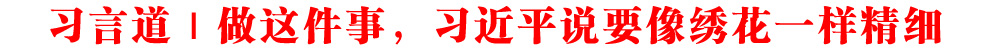 習言道丨做這件事，習近平說要像繡花一樣精細