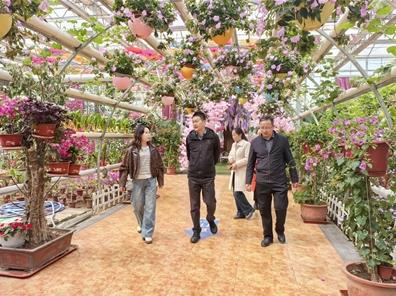 湟中四年：見聞于心，山河入懷——記南京市東西部協作掛職干部、湟中區委副書記、副區長徐寧