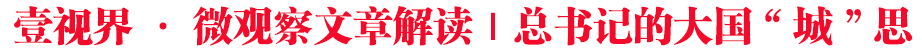 壹視界·微觀察文章解讀｜總書記的大國“城”思